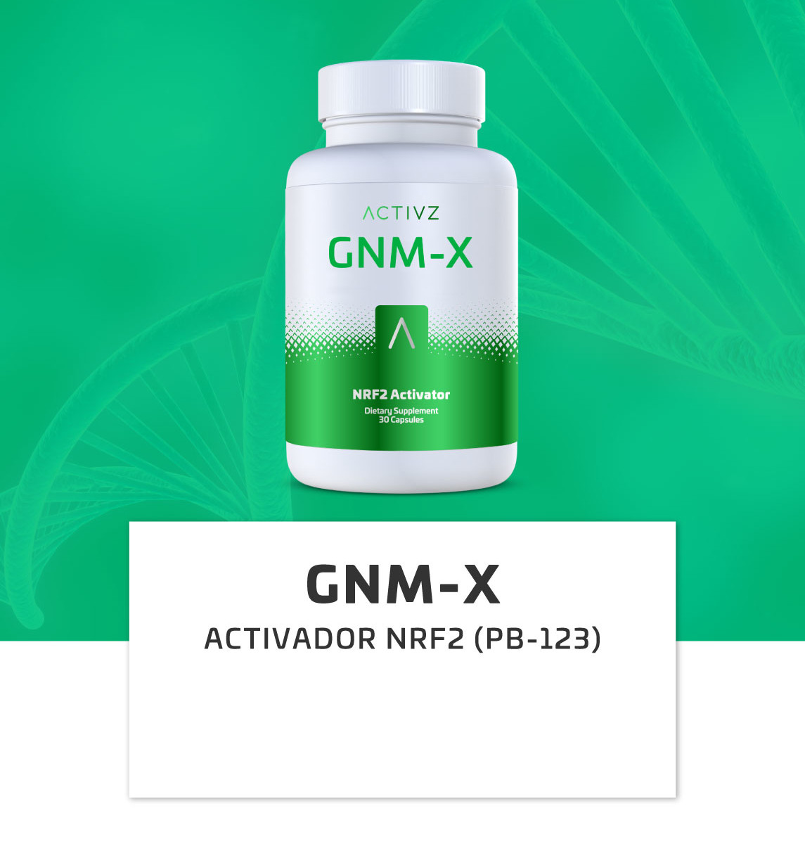 gnmx